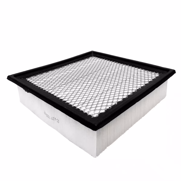 Filtro de aire para Ford Expedition
